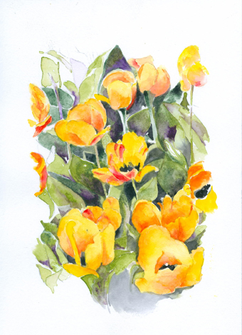 YellowTulipsLg