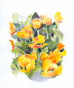 YellowTulipsSm